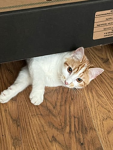 Milly and Mandy_rehome_02