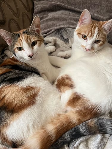 Milly and Mandy_rehome_03