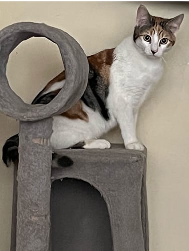 Milly and Mandy_rehome_06