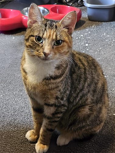 lucy & sally_rehome_02