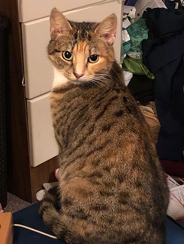 lucy & sally_rehome_03