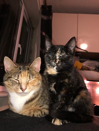 lucy & sally_rehome_04