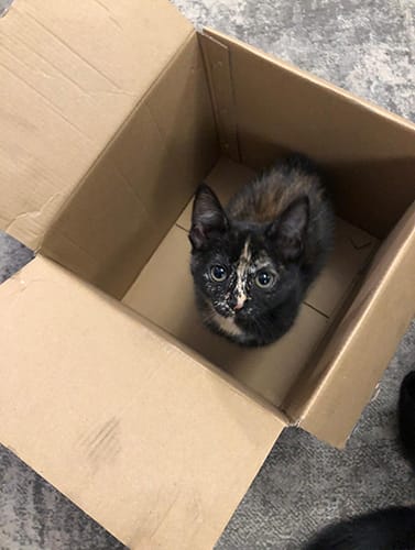 lucy & sally_rehome_05