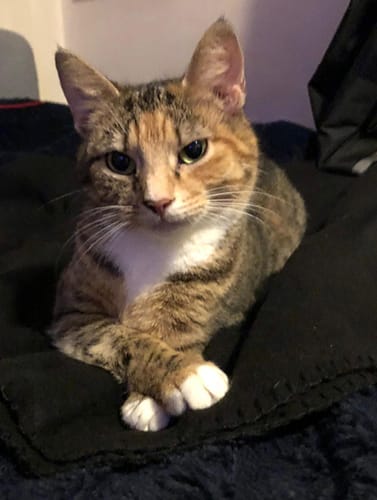 lucy & sally_rehome_06