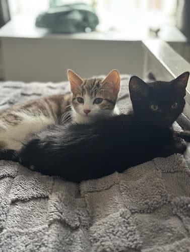 Narla & Simba_rehome_09