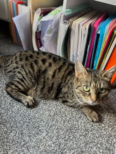 fleurs_babies_rehome_04