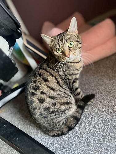 fleurs_babies_rehome_08