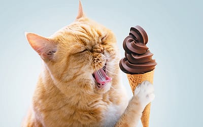 Yummy human treats that are bad for kitty